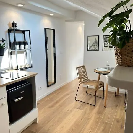 Vittorio Cozy Mansard טורינו